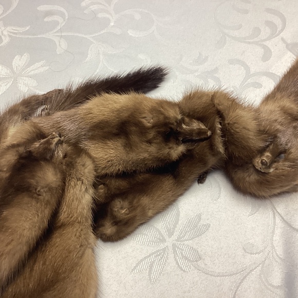 Vintage 4 pelt brown/tan full mink fur shawl, neck wrap, boa, scarf clip MINK - Picture 8 of 15